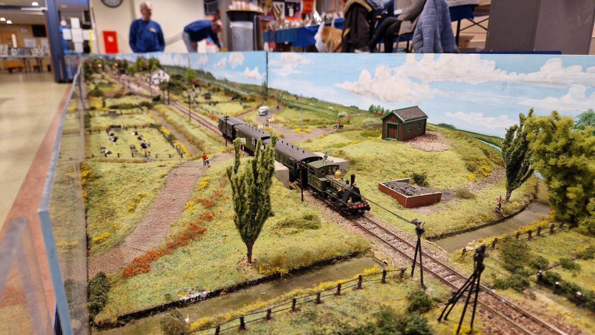 Stoomtrein door de polder